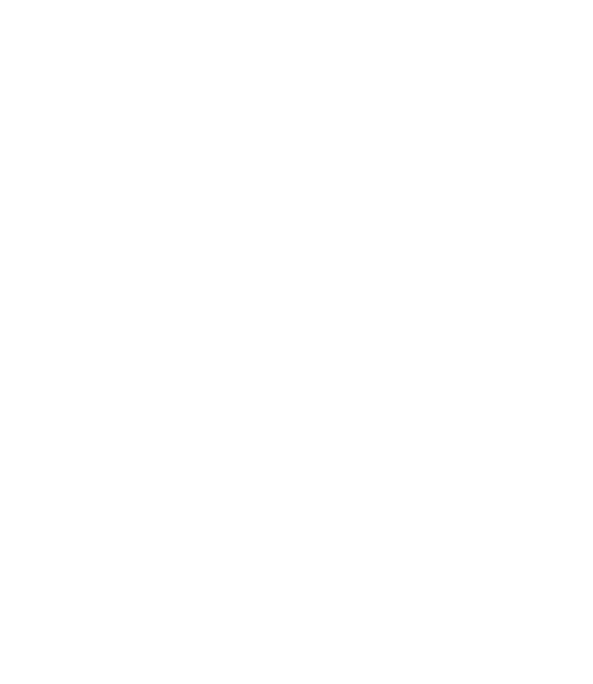 Tik Tok