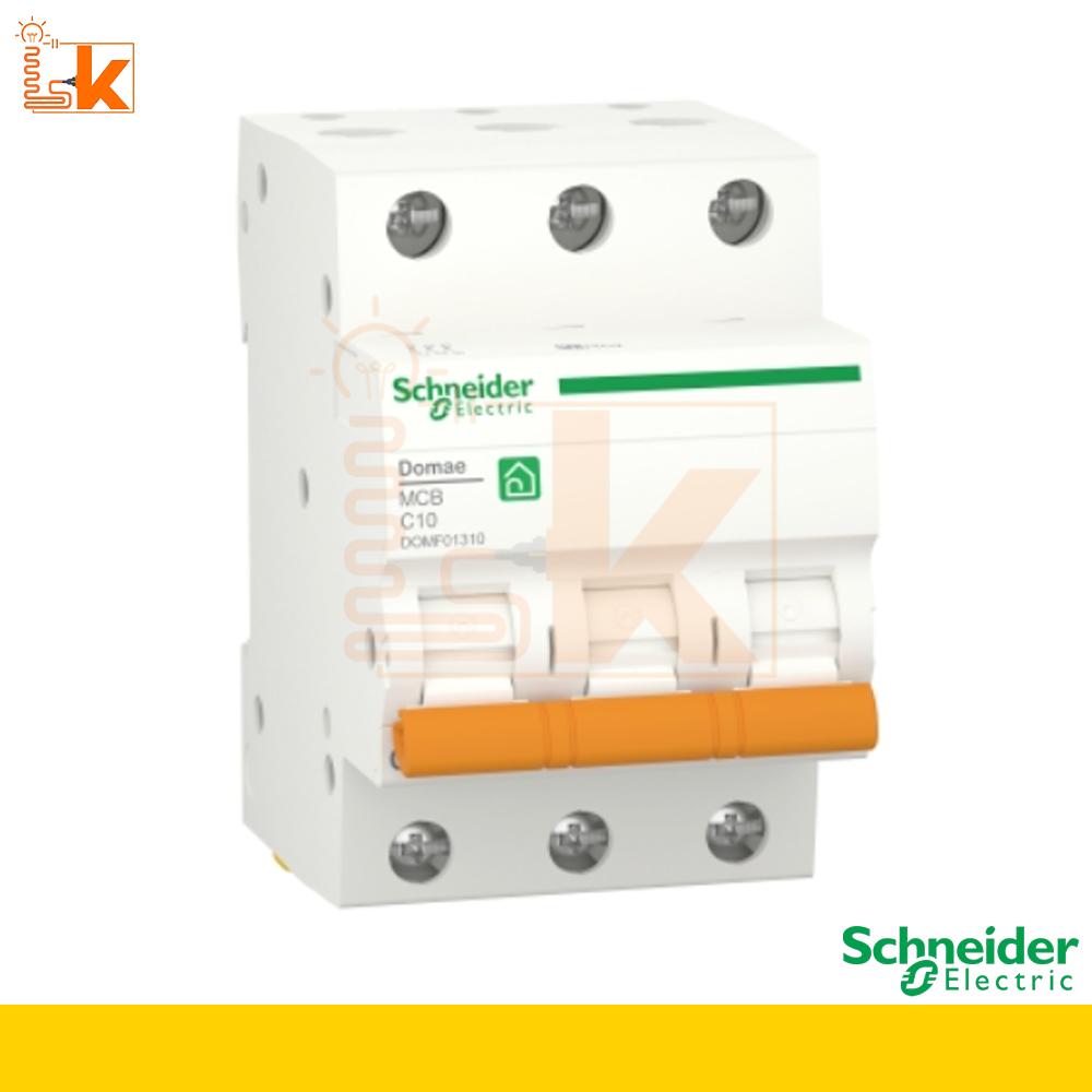 Schneider_310